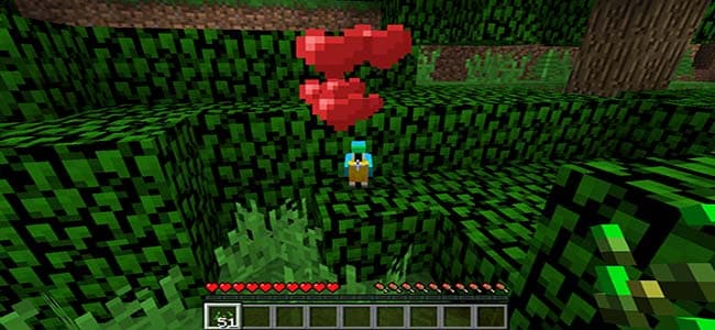 Taming Minecraft Parrot