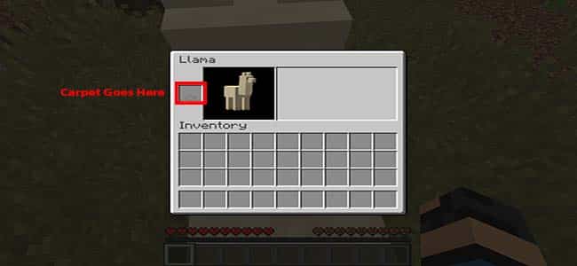 How to put carpets on llamas in Minecraft