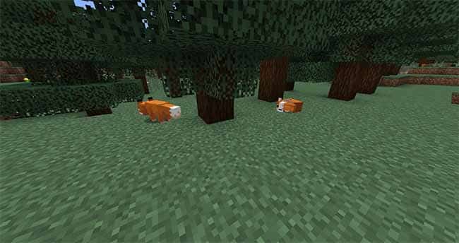 minecraft foxes 1.14 update village and pillage