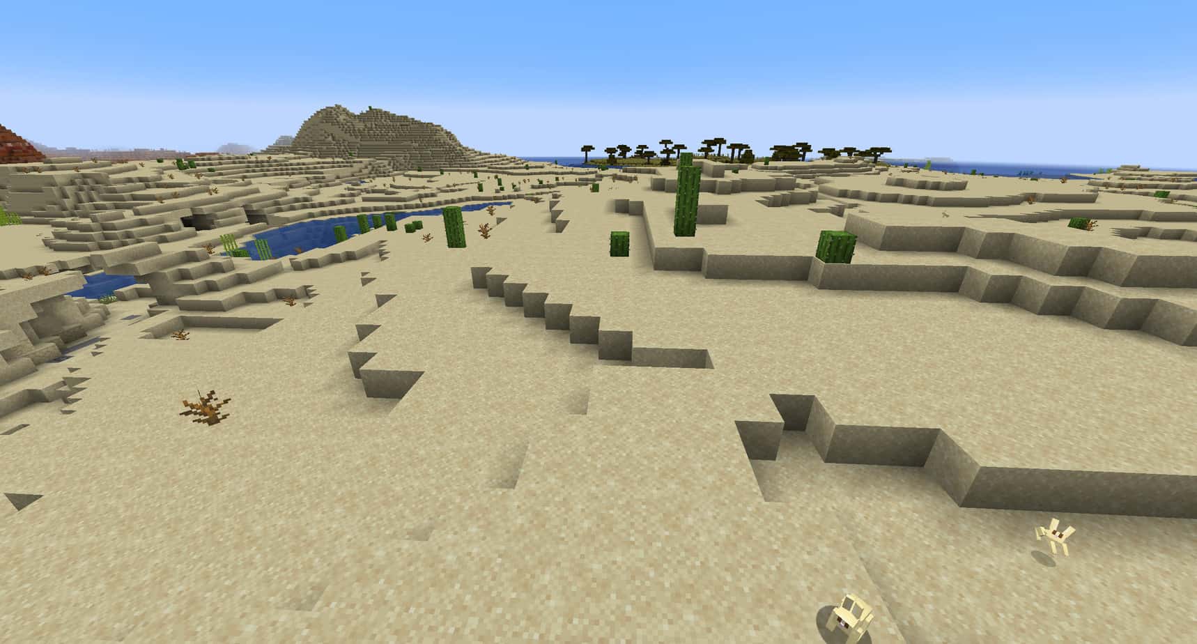 Minecraft desert biome