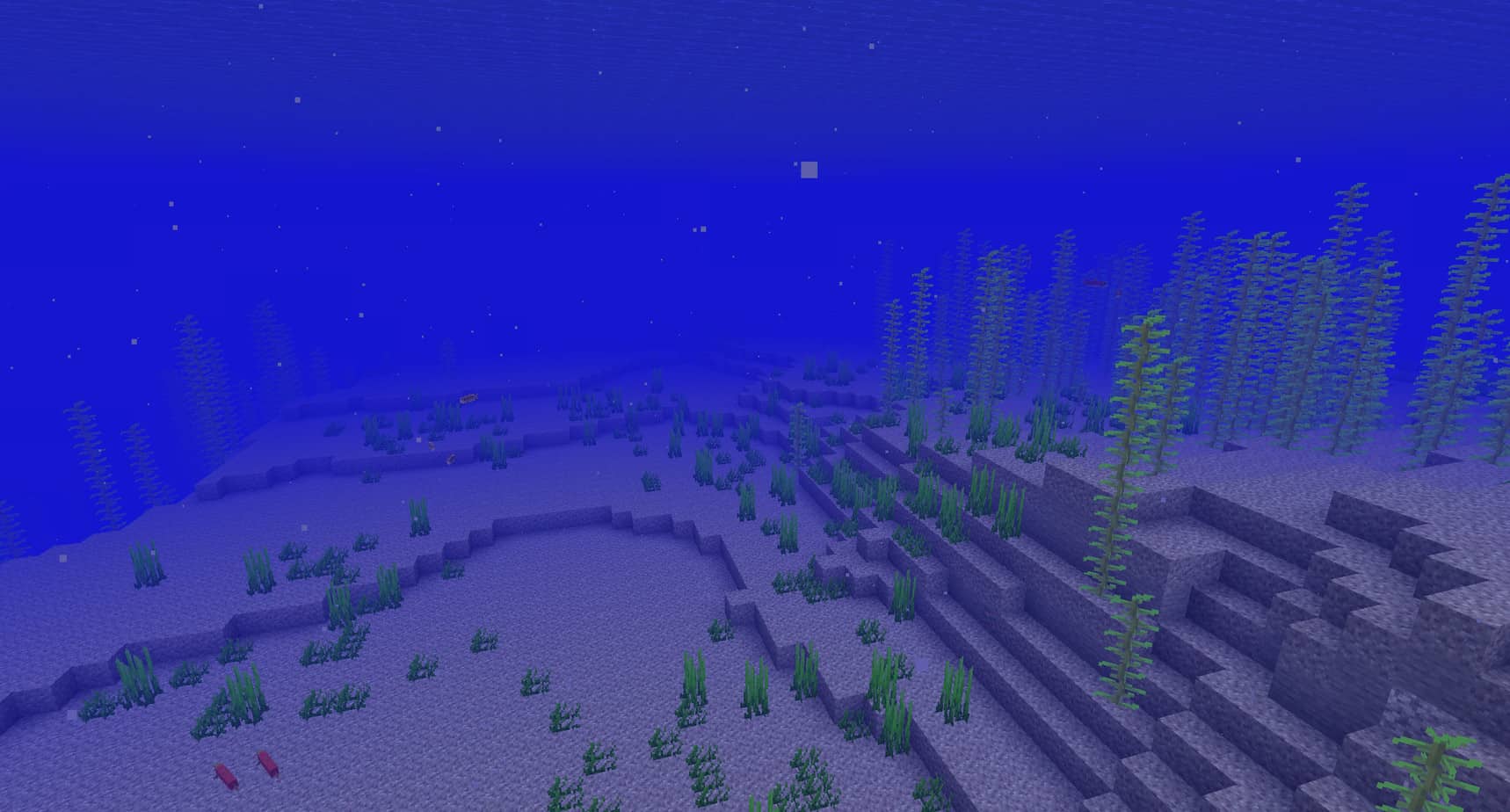 Minecraft ocean biome