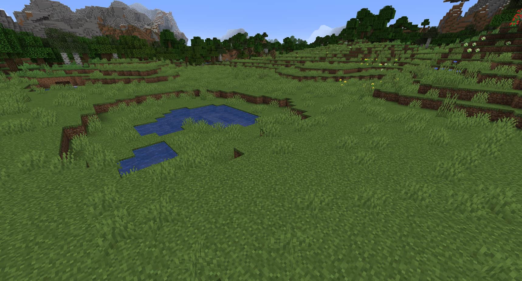 Minecraft plains biome