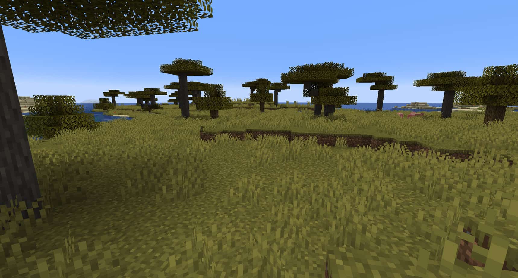 Minecraft savannah biome