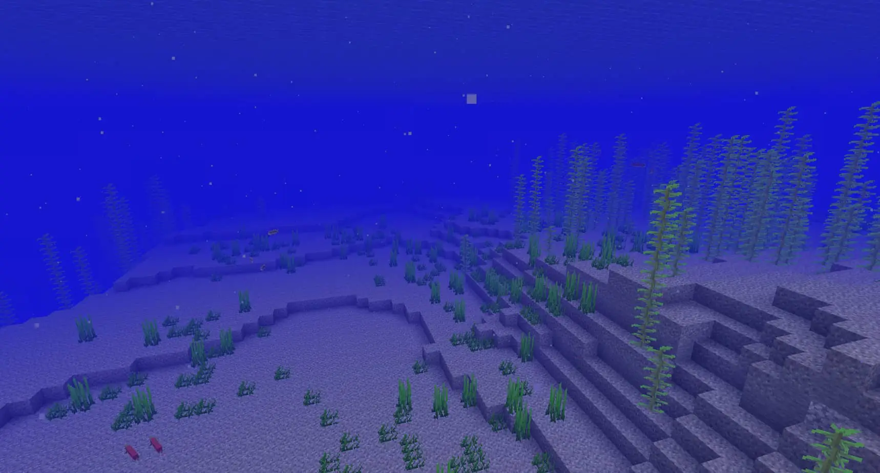 Minecraft ocean biome