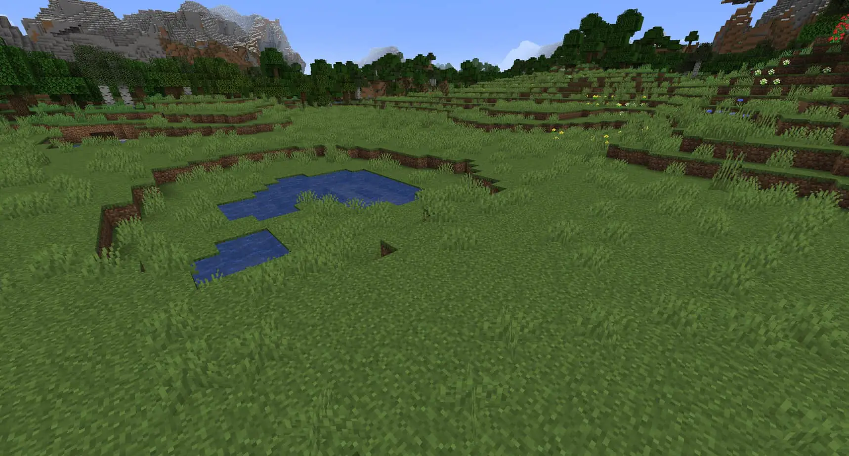 Minecraft plains biome